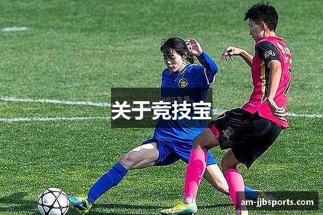 关于竞技宝